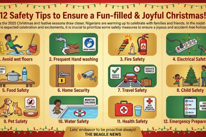 12 Safety Tips to Ensure a Fun-filled & Joyful Christmas - The Beagle ...