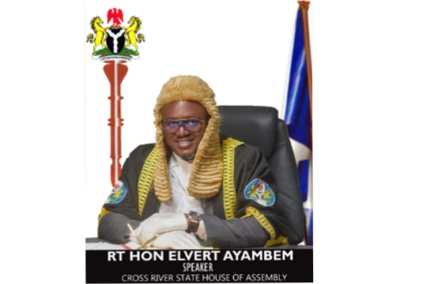 Bekwara LG Chairman Sacked Over Gross Misconduct