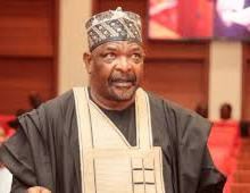Senator Ningi Decries ‘Selective’ VIP Security Withdrawal
