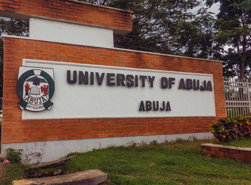 UniAbuja Professors Reject New VC Appointment Over Alleged Eligibility Breach