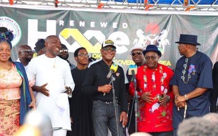 Wike Floats 'Rainbow Party' in Support of Tinubu's Second Term