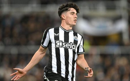 Arsenal Eye Newcastle Full Back Livramento