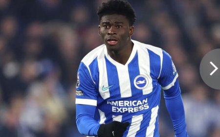 MANCHESTER UNITED KEEN ON BALEBA DEAL