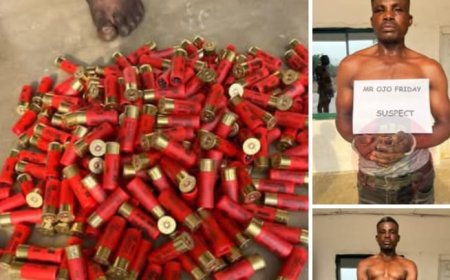 C'River: Army Arrests Suspected Arms Trafficker, Seizes 245 Cartridges in Abi
