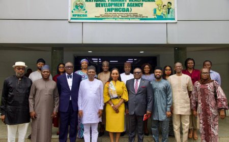 SSDC, NPHCDA Launch Regional Action Plan for Child Immunisation