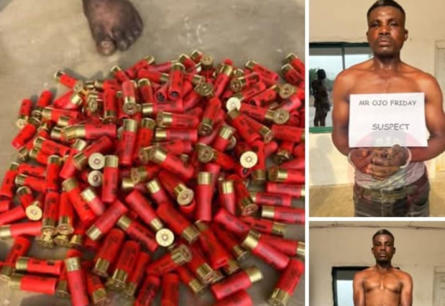C'River: Army Arrests Suspected Arms Trafficker, Seizes 245 Cartridges in Abi