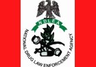 NDLEA, Army arrest five in Edo