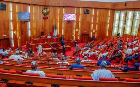 Senate Passes Electoral Act Amendment Bill, Retains Electronic Transmission of Results