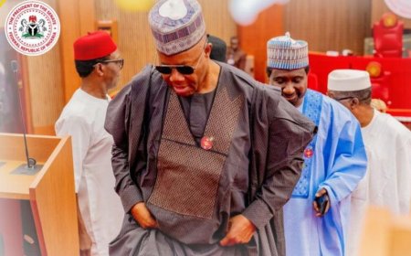 Senate Pauses Plenary for Two Weeks on 2026 Budget Scrutiny