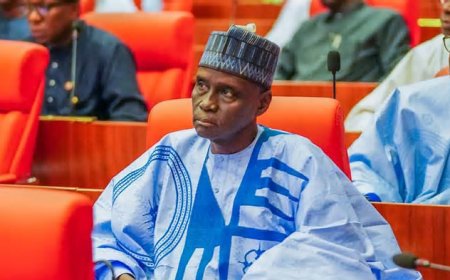E-Transmission: Sen Monguno Moves To Reverse Senate Decision
