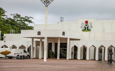 Presidential Villa To Switch From National Grid To 100% Solar March 2026