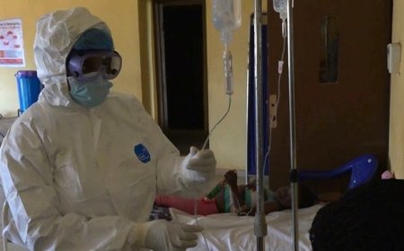 Six die from Lassa Fever in Edo