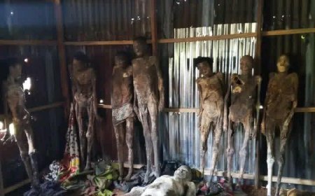 Eight Mummified Bodies Found at Akamkpa Scrap Site, Mortician Arrested