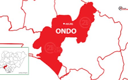 APC Pre-Congress Turns Violent As Chairman Beaten To Pulp