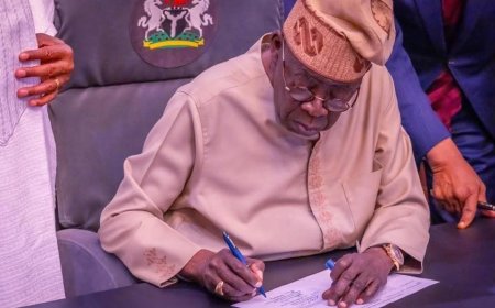 Nigeria Abolishes Delegate System in Party Primaries