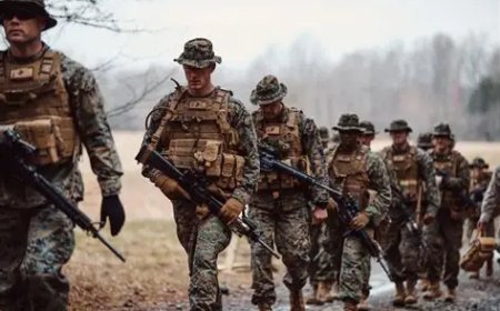 Nigeria Troops Destroy Four Illegal Refining Sites, Arrested Suspected Oil Thieves In C' River, Delta States