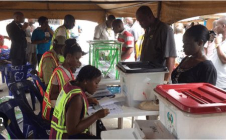 ActionAid Insists FCT Results Sheet Tempered With, Says Polls Stopped by 2:30pm, No Result Uploaded Till Evening