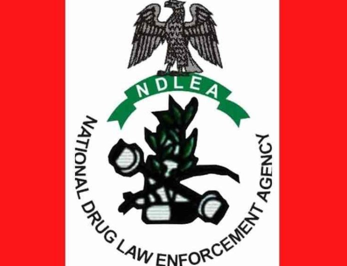 NDLEA, Army arrest five in Edo