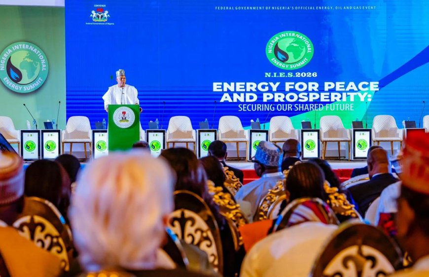 NIES 2026:Nigeria Seeks Global Energy Partnerships as Eteng Williams Pushes PIA Implementation