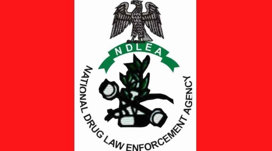 NDLEA, Army arrest five in Edo