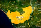 FG Directs Arrest, Prosecution Over Alleged Sexual Assault at Delta Festival