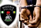 Police Arrest Four Suspected Cultists, Recover Firearms in Edo
