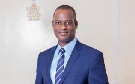 Tinubu Appoints Taiwo Oyedele as Minister of State for Finance, Reassigns Uzoka-Anite