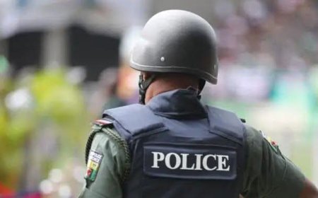 Police Arrest Medical Doctor Over Alleged Possession of Firearm in Edo