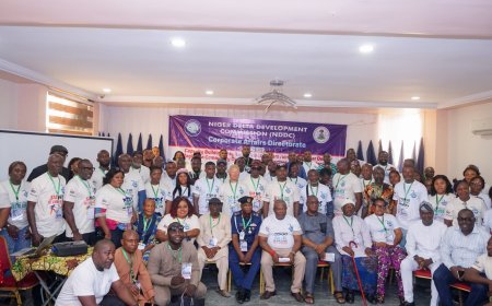 NDDC Declares Zero Tolerance for Project Vandalism, Threatens Arrest of Offenders