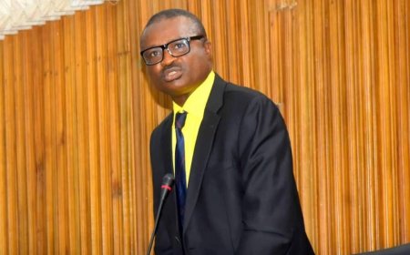 Domestic Violence:C'River Lawmaker Tenders Apologies