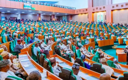 Electoral Act:Reps Move to Criminalise Dual Party Membership