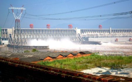 FG moves to finalise PPP for 250 MW Ikom power plant