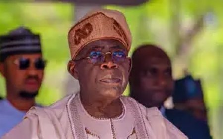 Tinubu Directs Political Appointees Seeking Elective Positions to Resign March 31