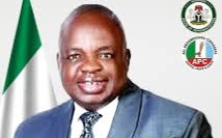 OPINION 2027: Hon. Alex Egbona. The All Weather Brand