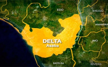 FG Directs Arrest, Prosecution Over Alleged Sexual Assault at Delta Festival