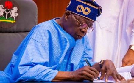 Tinubu Gov't Paid N4.18Billion To Private Universities Owned By Politicians, Others For Niger Delta Scholarships