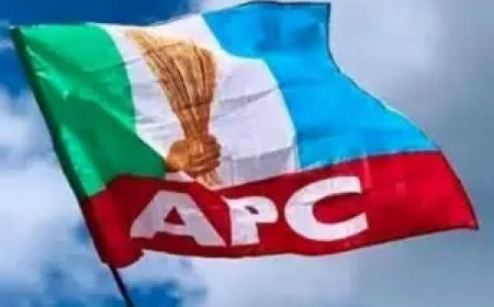 Protest Rocks Edo APC Over Alleged Imposition of Councillorship Candidate