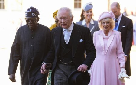 Opinion : Diaspora, Diplomacy and the Danger of Ethnic Projection