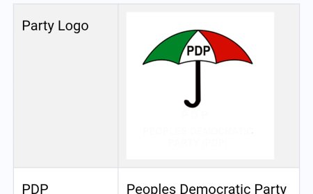 INEC Recognises Wike-Backed PDP National Working Committee