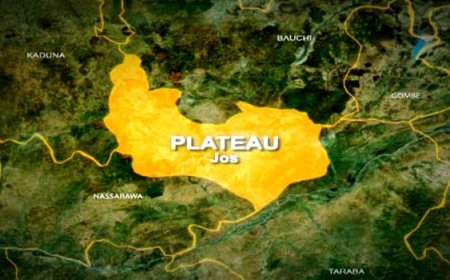 26 Killed in Gunmen Attack in Plateau Community