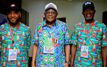 APC Convention Signals Mammoth Support for Tinubu’s Re-election — Otu