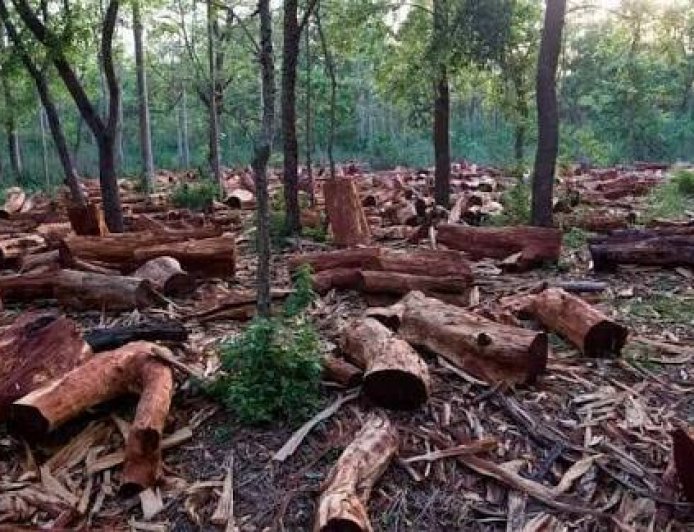 Akamkpa Community Resolves Logging Dispute with Ezemac International
