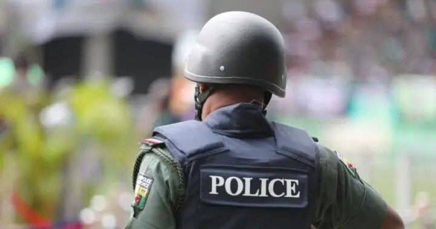 Police Arrest Medical Doctor Over Alleged Possession of Firearm in Edo