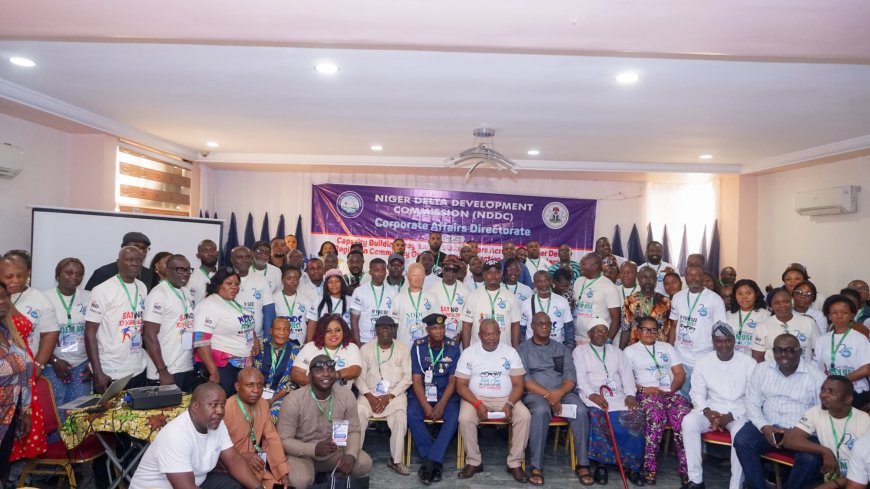 NDDC Declares Zero Tolerance for Project Vandalism, Threatens Arrest of Offenders