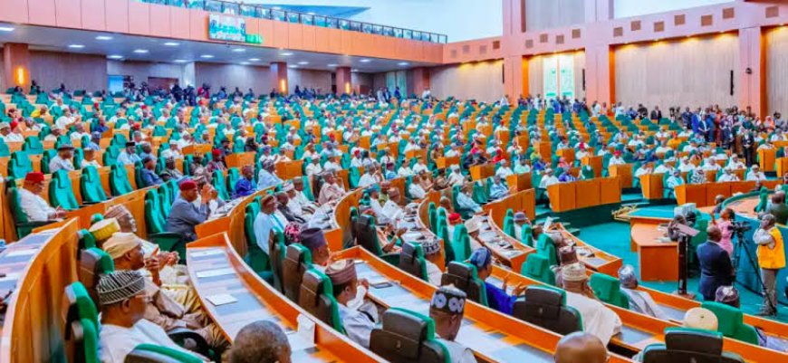 Electoral Act:Reps Move to Criminalise Dual Party Membership