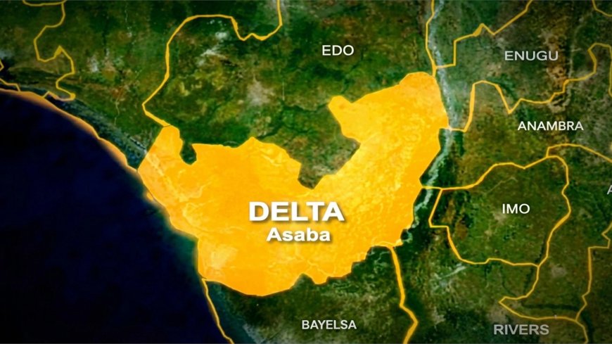 FG Directs Arrest, Prosecution Over Alleged Sexual Assault at Delta Festival