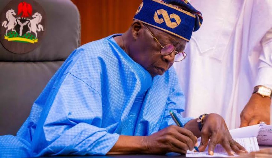 EDUCATION: Tinubu Gov't Paid N4.18Billion in 2025 As Scholarships To Private Universities Owned By Politicians In South