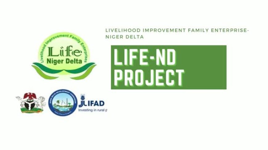 How LIFE-ND is transforming rural livelihoods in Edo
