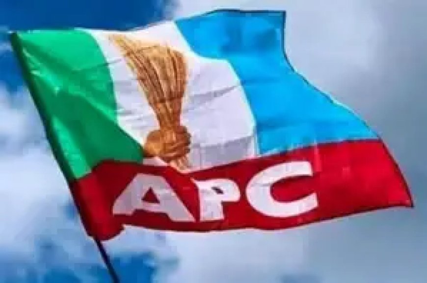 Protest Rocks Edo APC Over Alleged Imposition of Councillorship Candidate