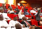 NASS MEMBERS: ARE YOU STILL SINGING ON YOUR MANDATE WE SHALL STAND?